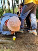 1. a 3. oddil jsou vceli kralovny.JPG